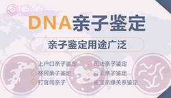 泸州隐私亲子鉴定如何办理，泸州个人亲子鉴定详细流程及材料