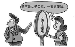 泸州隐私DNA亲子鉴定详细流程及材料，泸州隐私亲子鉴定价格收费