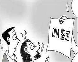 泸州落户口亲子鉴定预约