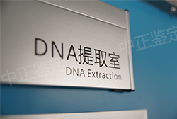 泸州上户口亲子鉴定需要如何做,泸州落户口亲子鉴定的流程
